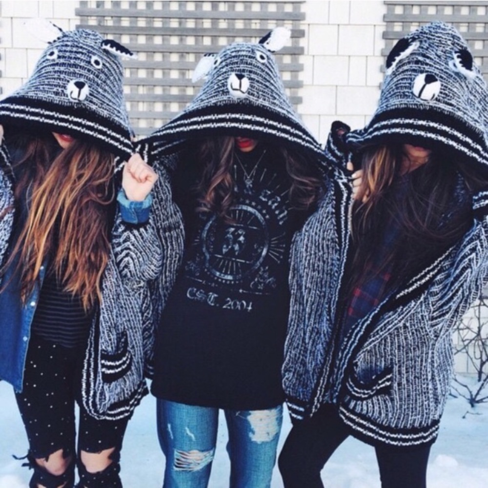 LF sweater with teddy hoodie